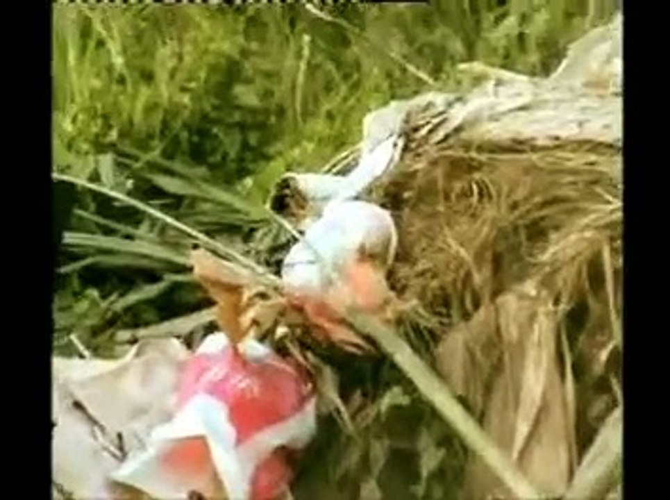 TRIAD Advertising - Gold Award Winner at The Chillies 2008