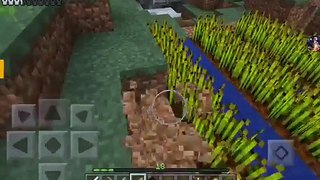 Minecraft pe : #3 ruộng đã xây song