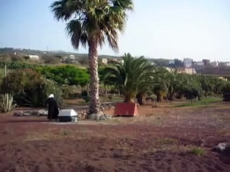 Una carmelita descalza habla de edith stein