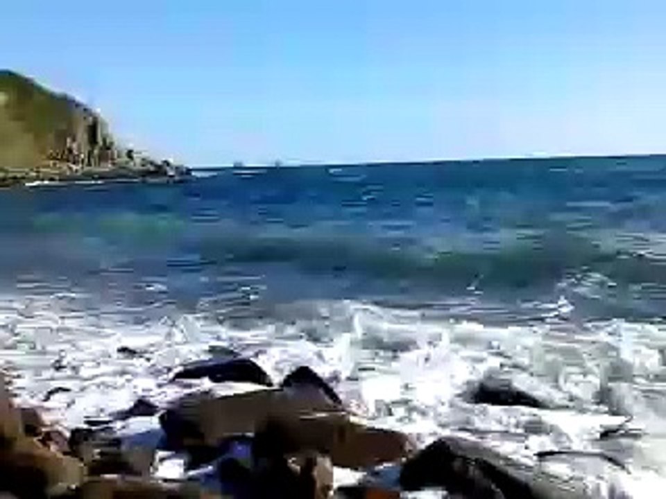 arribolas parte izquierda