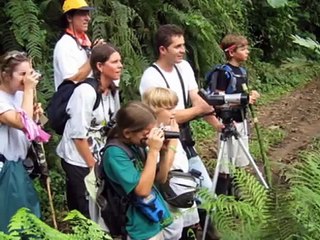 Tourism: Positive and Negative Effects