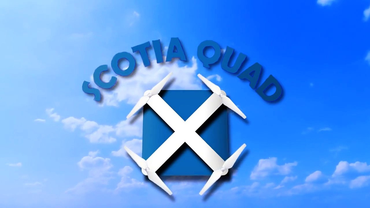 Sunbathing Seals at Findhorn