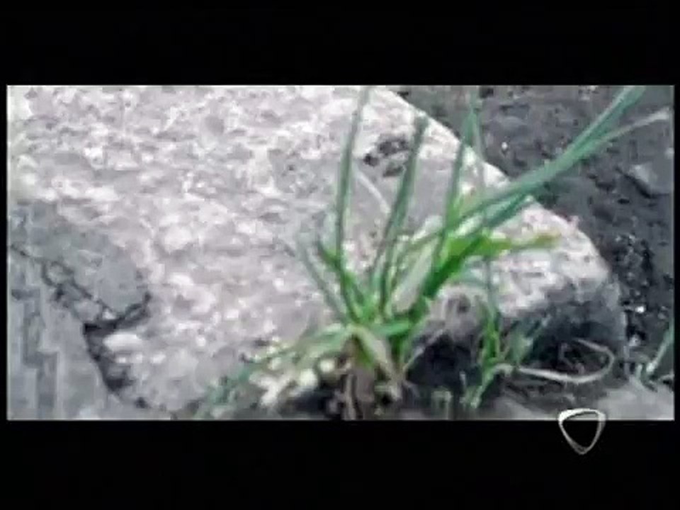 Giuseppe Povia - Il bambini fanno ooh!