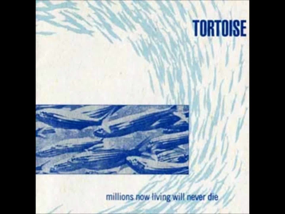 Tortoise - Djed
