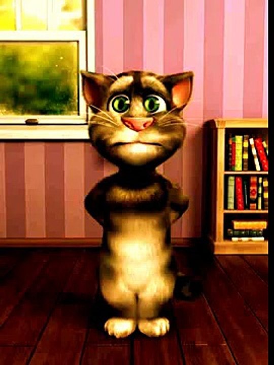 Tom le chat video Dailymotion