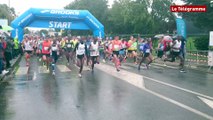 Semi-marathon Auray-Vannes. Un départ sous une pluie battante