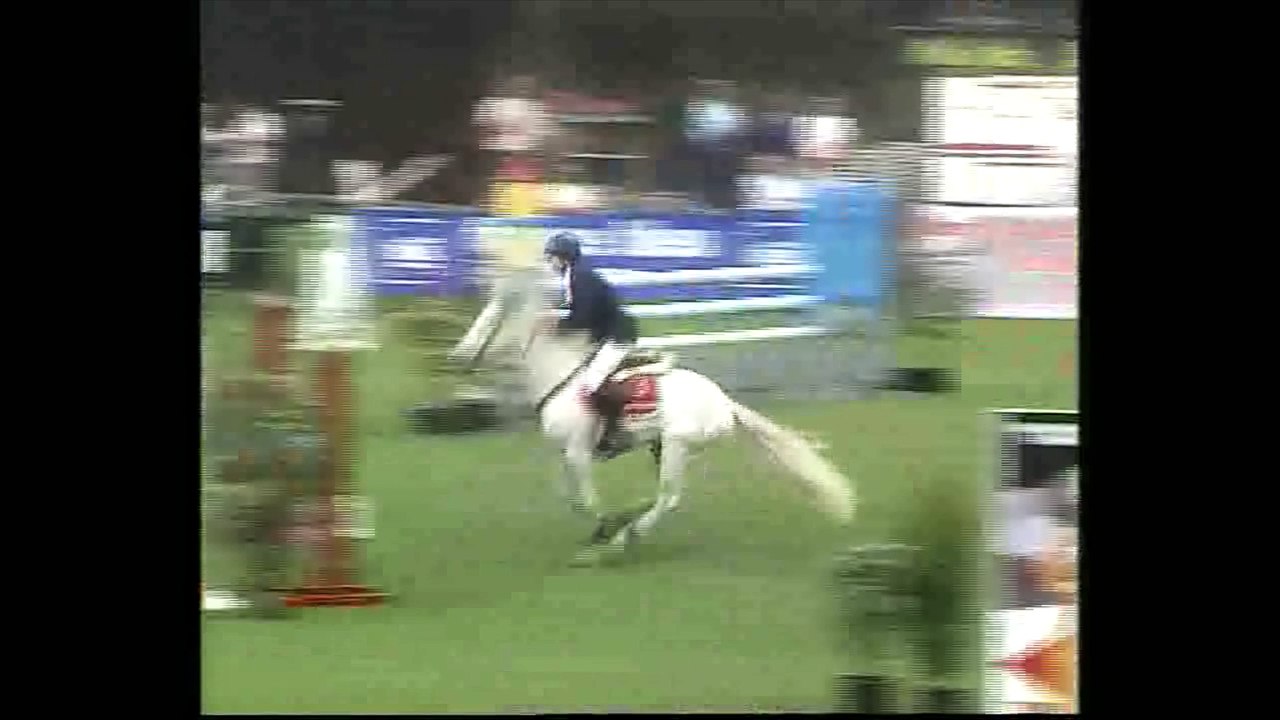 Jobic de coatreal - Pony planet