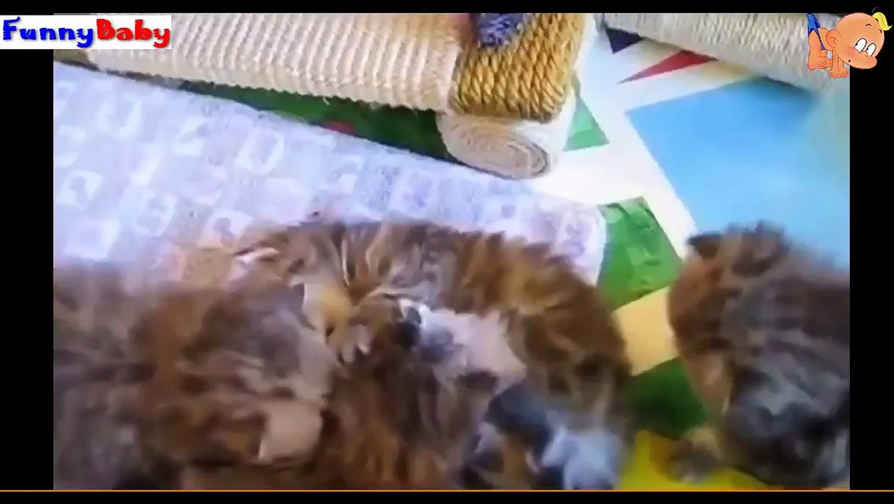 Video Funny Baby New P4 - Video Hài Hước Trẻ Em Mới P4