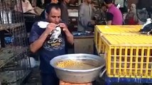 Man blows corn seeds into the beaks of pigeon to feed them!!