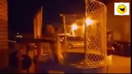 Funny Videos dog 2015 l Clip hài l tổng hợp những khảnh khắc đáng yêu nhất của động vật