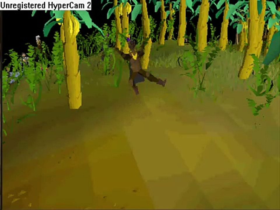 Runescape Knights of the Round Table - (Monty Python song)