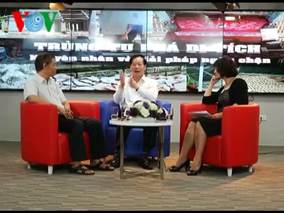 Tọa đàm về nạn trùng tu như phá di tích (part2)