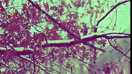 moulana tariq jameel best bayan