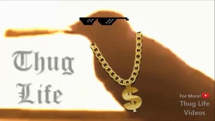 Animal Thug Life Compilation 2