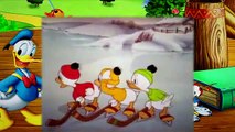 14  Donald Duck The Hockey Champ 1939