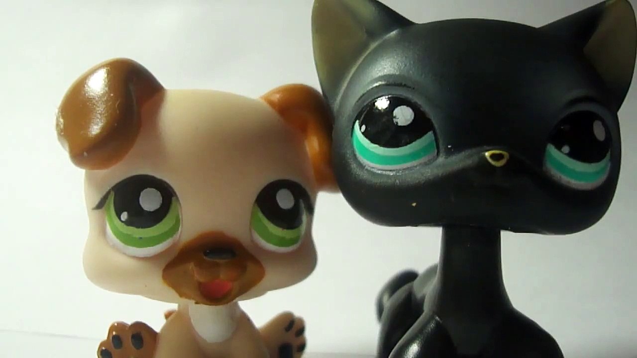 My new LPS shorthair cat!