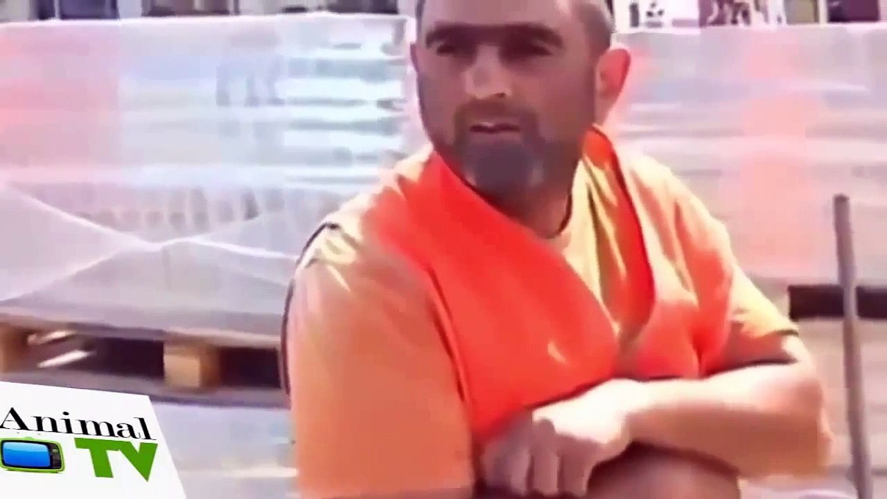 [ Best Funny Prank ] Funny Pranks Funny FAIL Funny Video #32