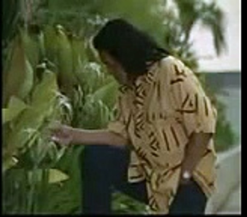 Sajak Sajak Cinta (Puisi Terakhir WS Rendra) - Kumpulan Puisi