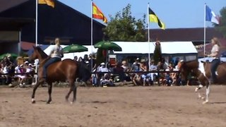 Horse-in-Balance Demoteam Vorführung 2009 - Freiheitsdressur, Liberty with horse