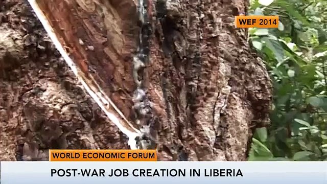 WEF Africa: Liberia's Economy, Nigerian Trade & Africa Telecoms