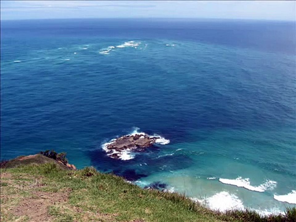 OWLS - Everyone Is my friend