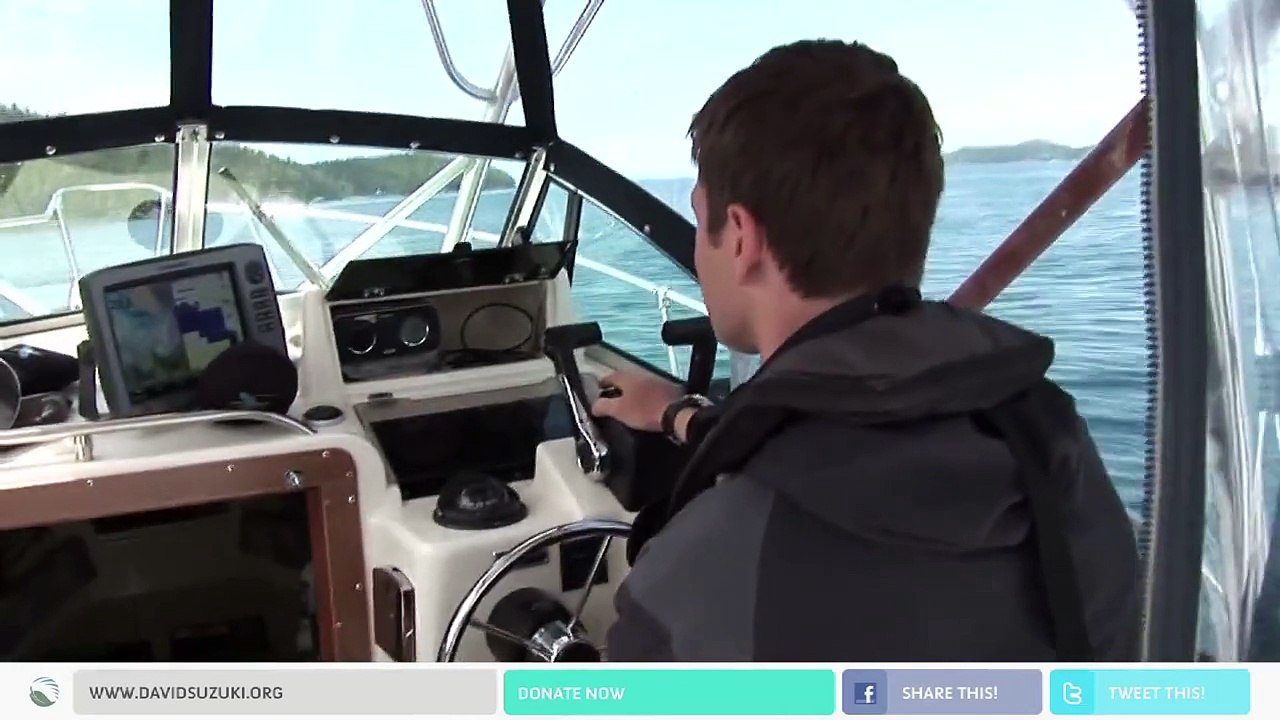 Cause An Effect - Willie Mitchell