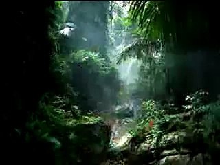 Re: Vodafone Werbung Verarsche