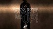 Avicii - Wake Me Up (Instrumental)