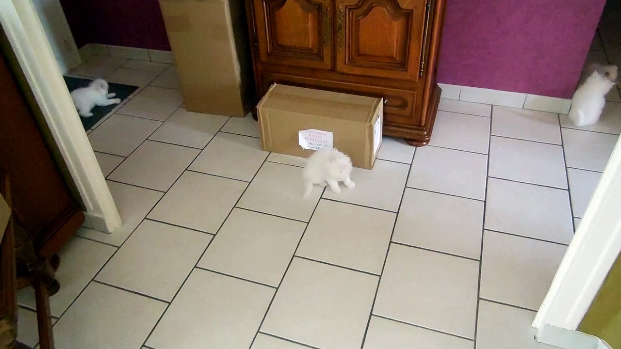 mes bébés 2 mois et demi