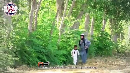 Hamaz Foundations pashto song about Thalassemia - Hashmat Sahar hd -Qudrat tv
