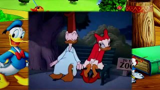 2  Donald Duck Sleepy Time Donald 1947