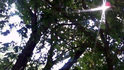 Can You Feel My Heart// BMTH Acoustic Cover