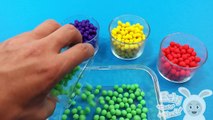 Learn Colors with Small Dippin Dots! Find the Right Colour! Lesson 1