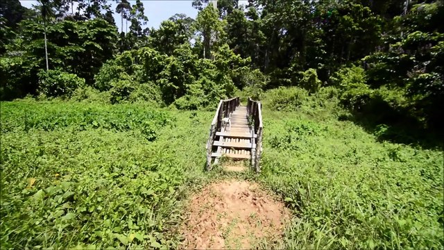 Andaman and Nicobar Islands Honeymoon Package Experience