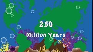 History of coral reefs
