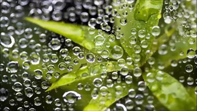 Abraham Hicks-The universe will support every belief that you hold!