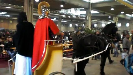 Fieracavalli Verona tiro attacchi haflinger arabo maremmano frisone