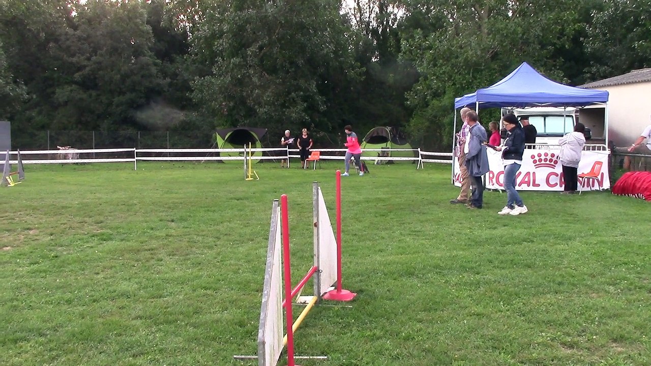 Finale schnauzer 2015 Gazum