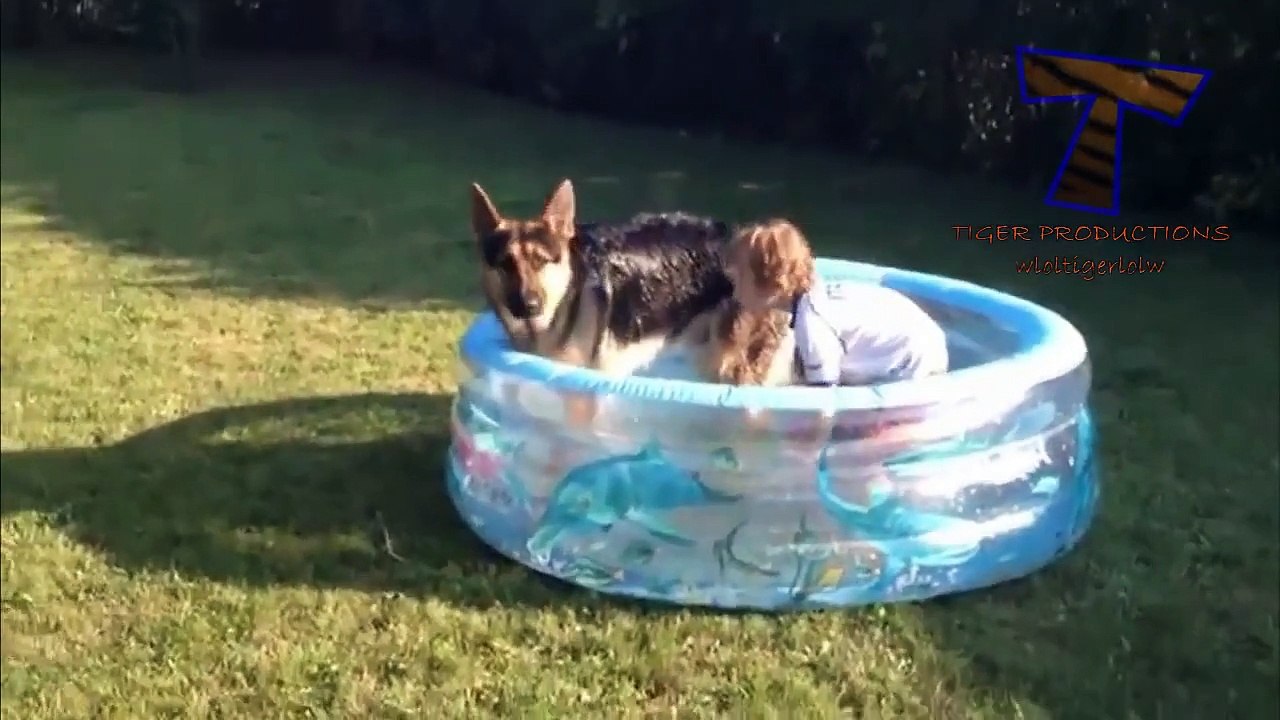 Funny babies and animals bathing together - Cute baby & animal compilation