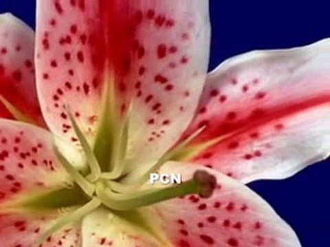 Aa Chuka Hoon Masihi Geet