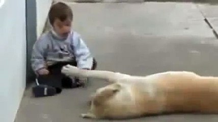 Down Sendromlu Çocuu Elendirmeye Çalan Köpek