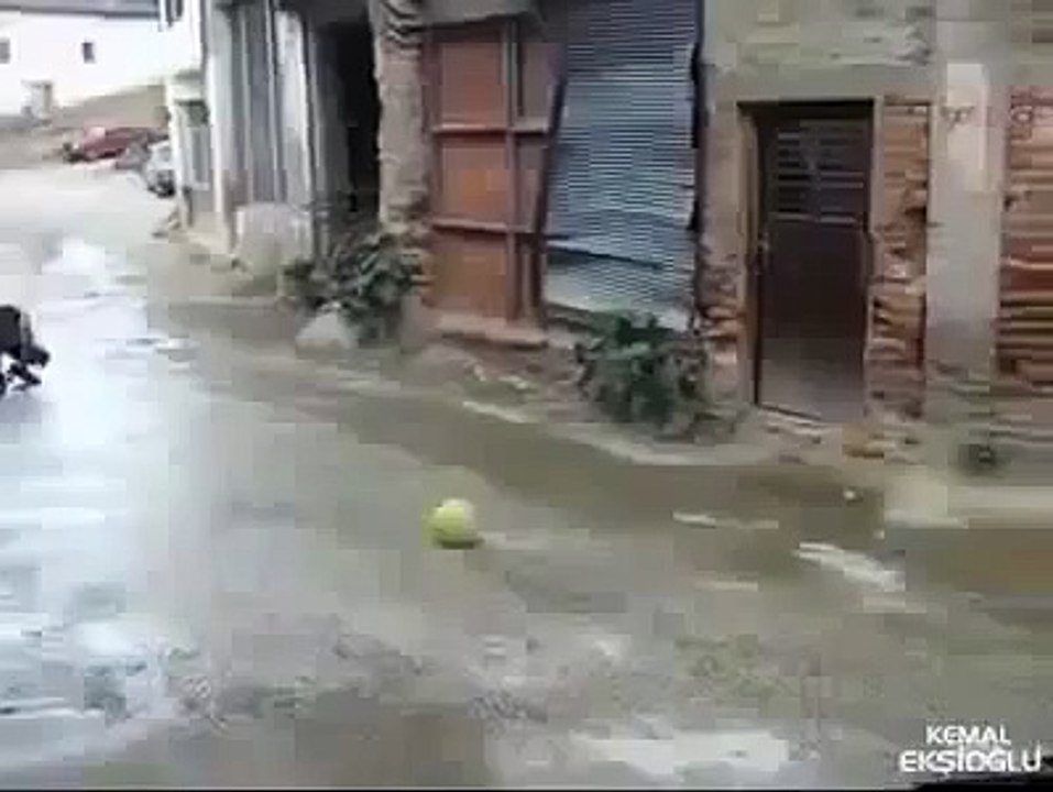 DÜNYADA K EN Y GOL  izlemezsen piman olursun