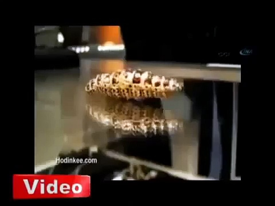 Dünyann en pahal trtl