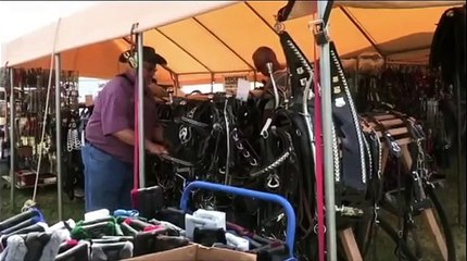 Horse Progress Days 2012