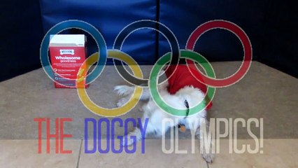 The Doggy Olympics! | Jazmyn & Jack