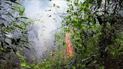 Indonesian fires send smog over Singapore, Malaysia