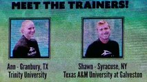 Lets meet the SWT Orca Trainers - July 28 2015 - SeaWorld San Antonio