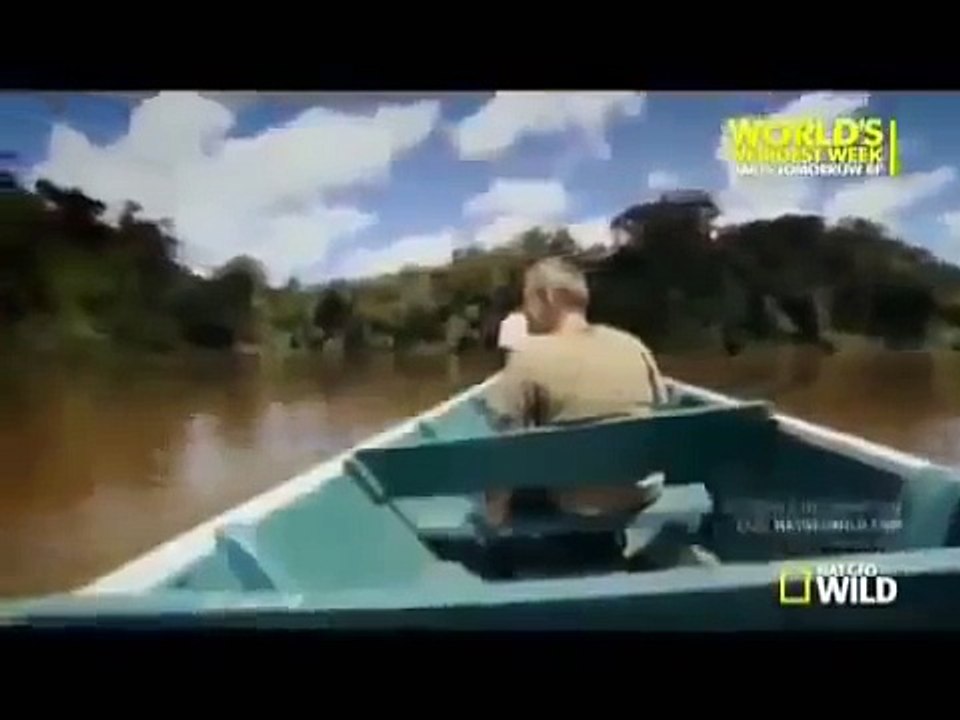 Animal Superpowers - National Geographic Full Documentary 2014