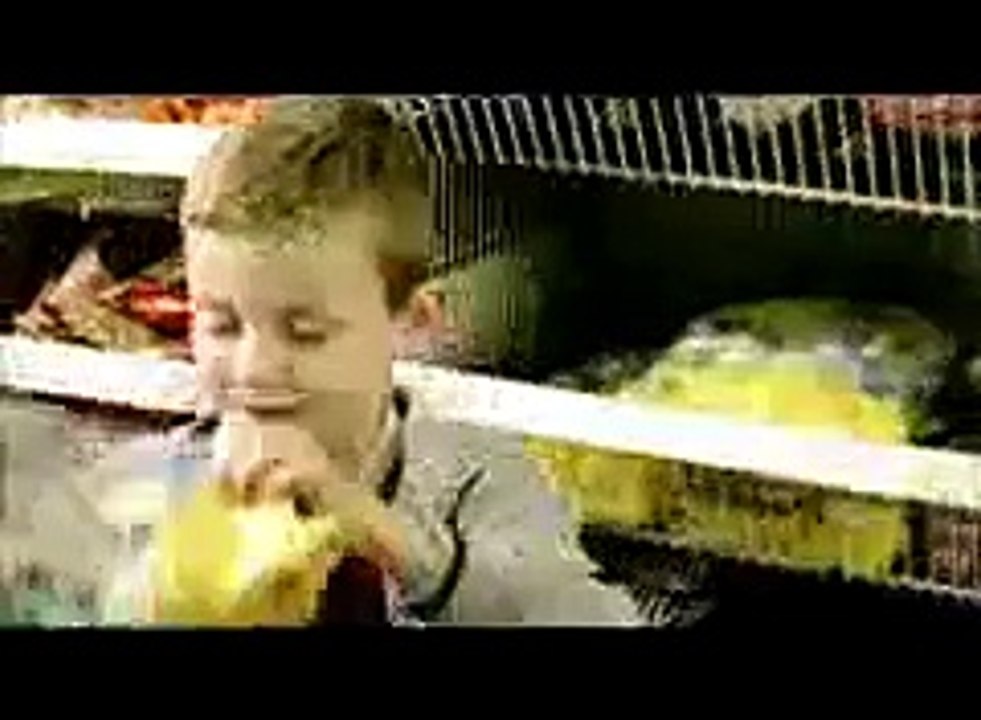 Funniest Commercial Ever