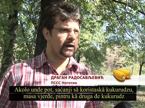 Selo moje, 13. septembar 2015. (RTV Bor)